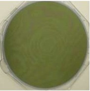 WCT DATASHEET 참고 이미지 1